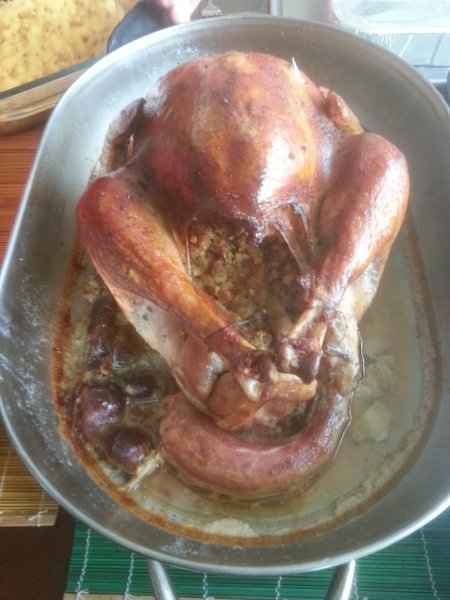 turkey.jpg