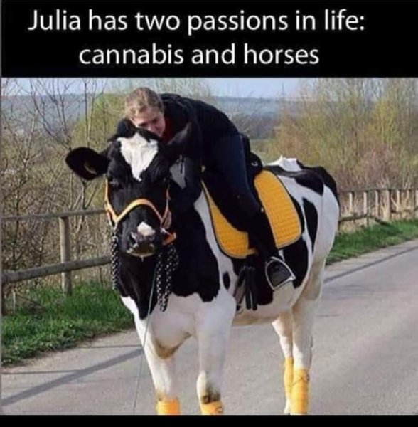 two passions in life- cannibis and horses.jpg