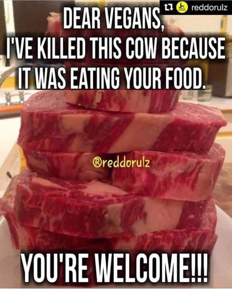 Vegan food.jpg