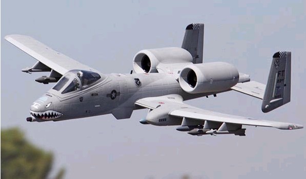 warthog2.jpe