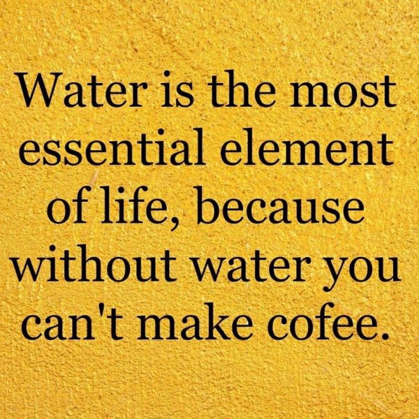 water essential element for coffee.jpg