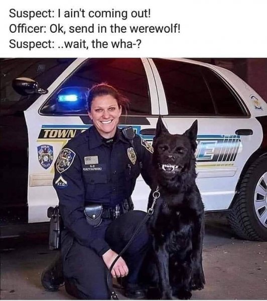 werewolf police dog.jpg