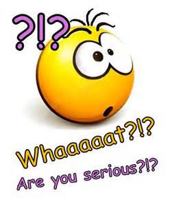 what-jpg.3299.jpg