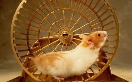 Wheel.jpg
