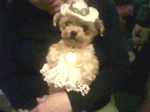 wicket%20easter_zps9zpyx4ow.jpg