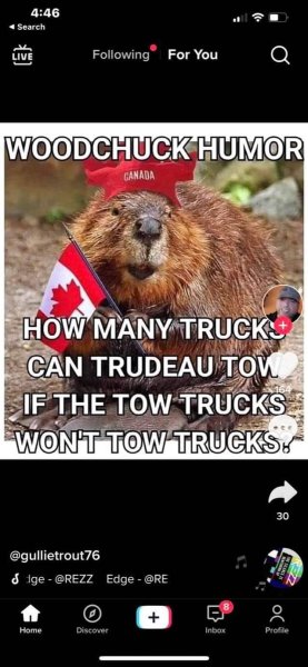 woodchuck humor.jpg