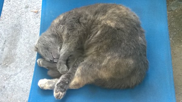 wp_20160415_001-jpg.9136.jpg