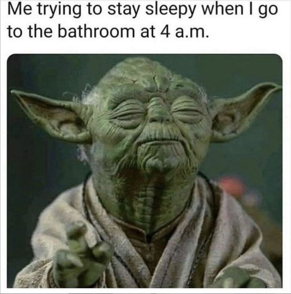 yoda 4am bathroom trip staying sleepy.jpg