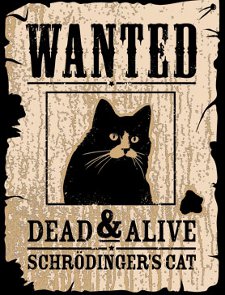 tshirtgroove.com_wp_content_uploads_2011_05_wanted_dead_and_alive_schrodingers_cat_t_shirt.jpg