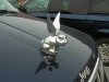 car_hood_ornaments_15.jpg