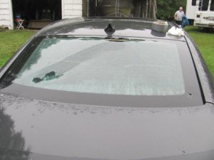 170902 001 Harvey Hail Damage 002.jpg