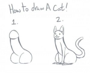how to draw a cat.jpg