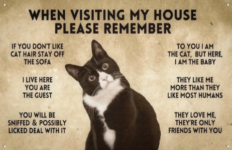 Cat Warning Sign.png