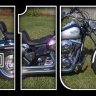 Buell
